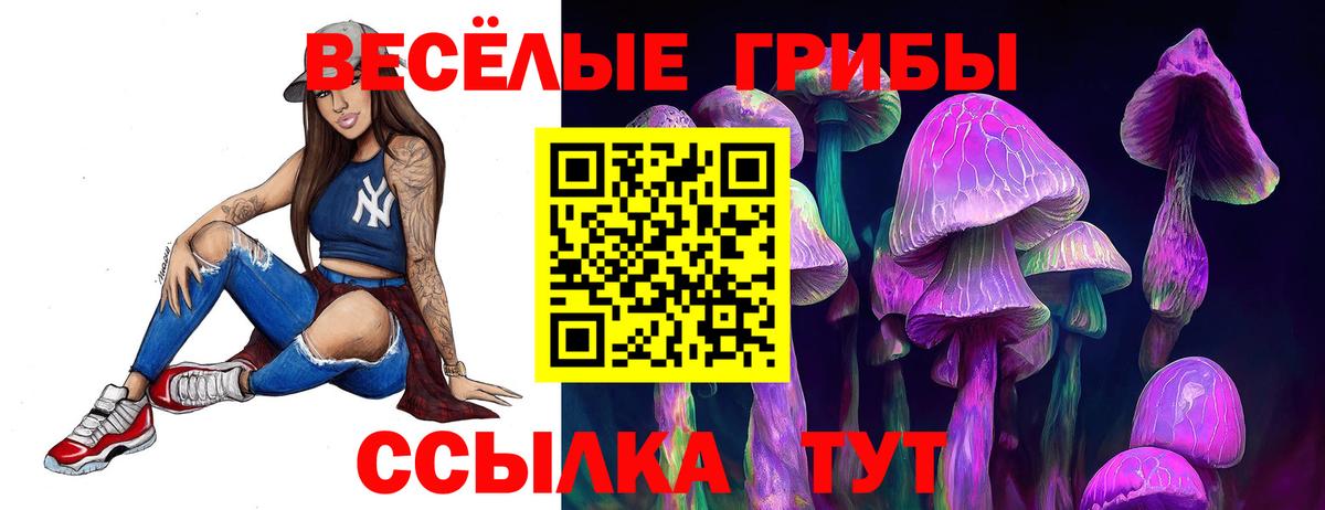 Омск  Псилоцибиновые грибы мухоморы  Вход с VPN 